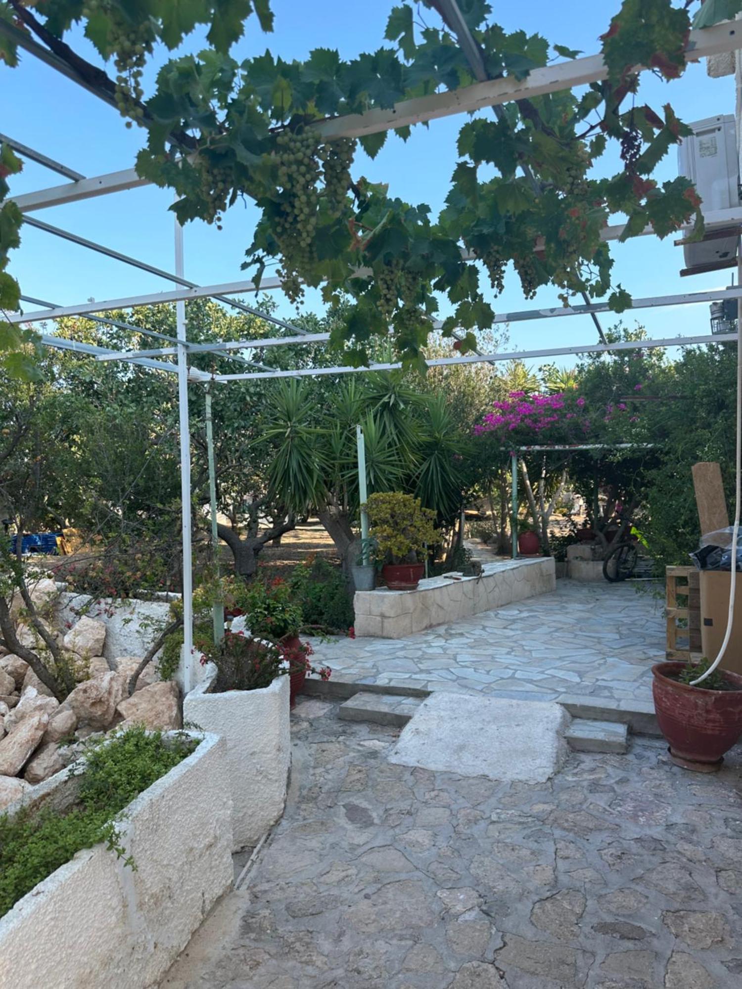 Solmar Aegina With Private Pool - Jacuzzi Apartment Khloi Exterior photo